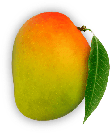Original Alphonso Mango