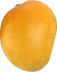 A1 Mango Grade